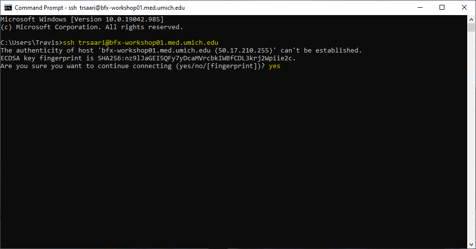 Windows Command Prompt