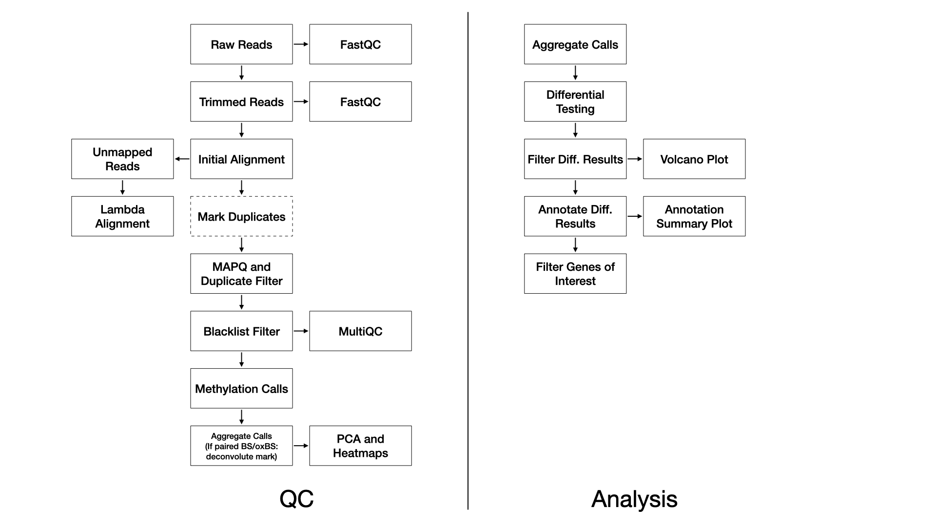 DNA methylation workflow