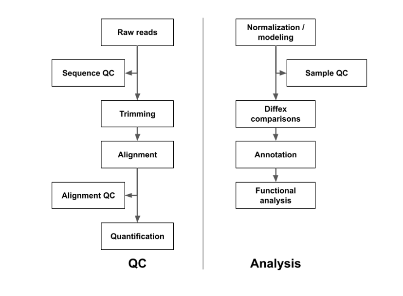 RNA-Seq workflow