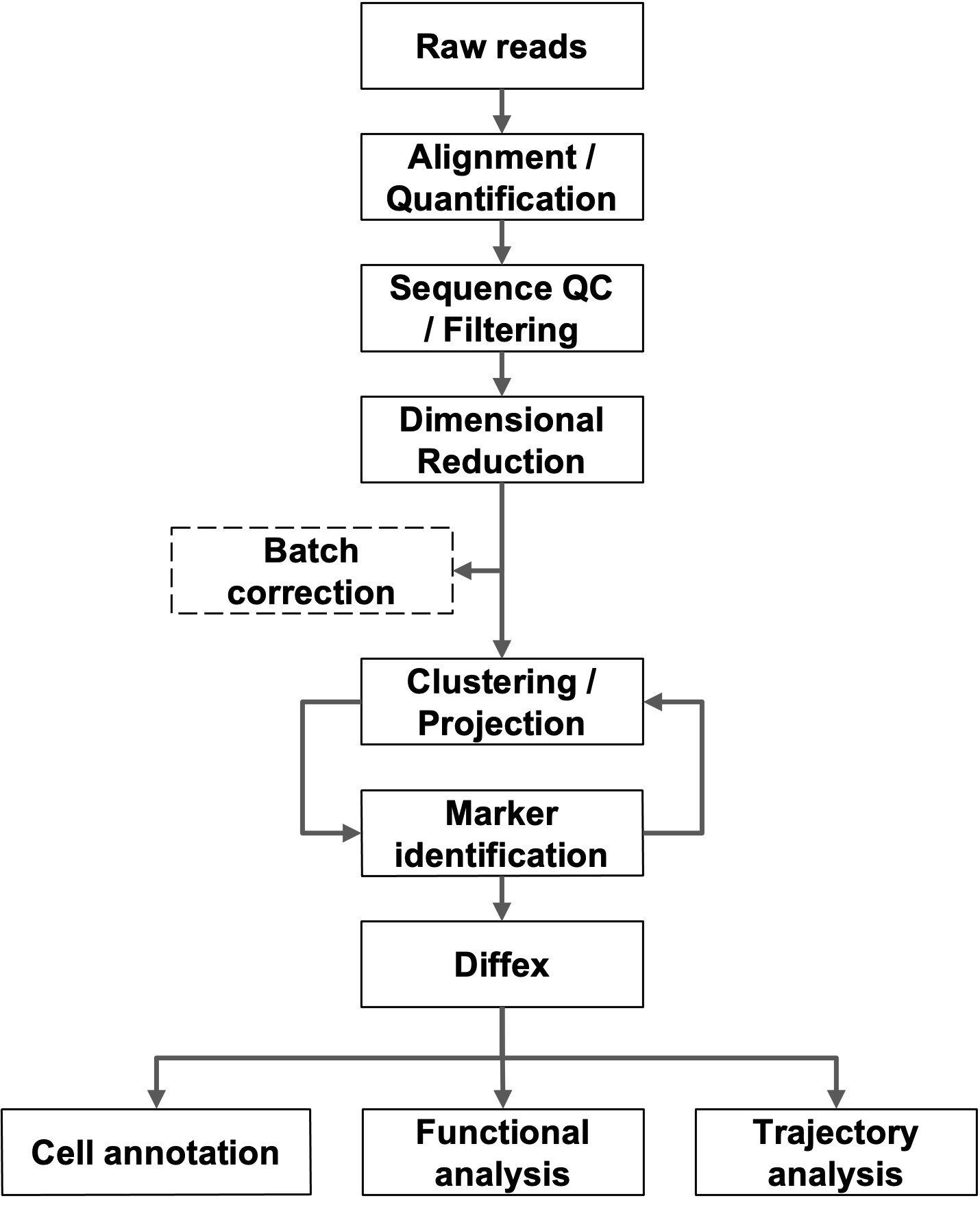 Single cell/nuclei RNA-Seq Workflow