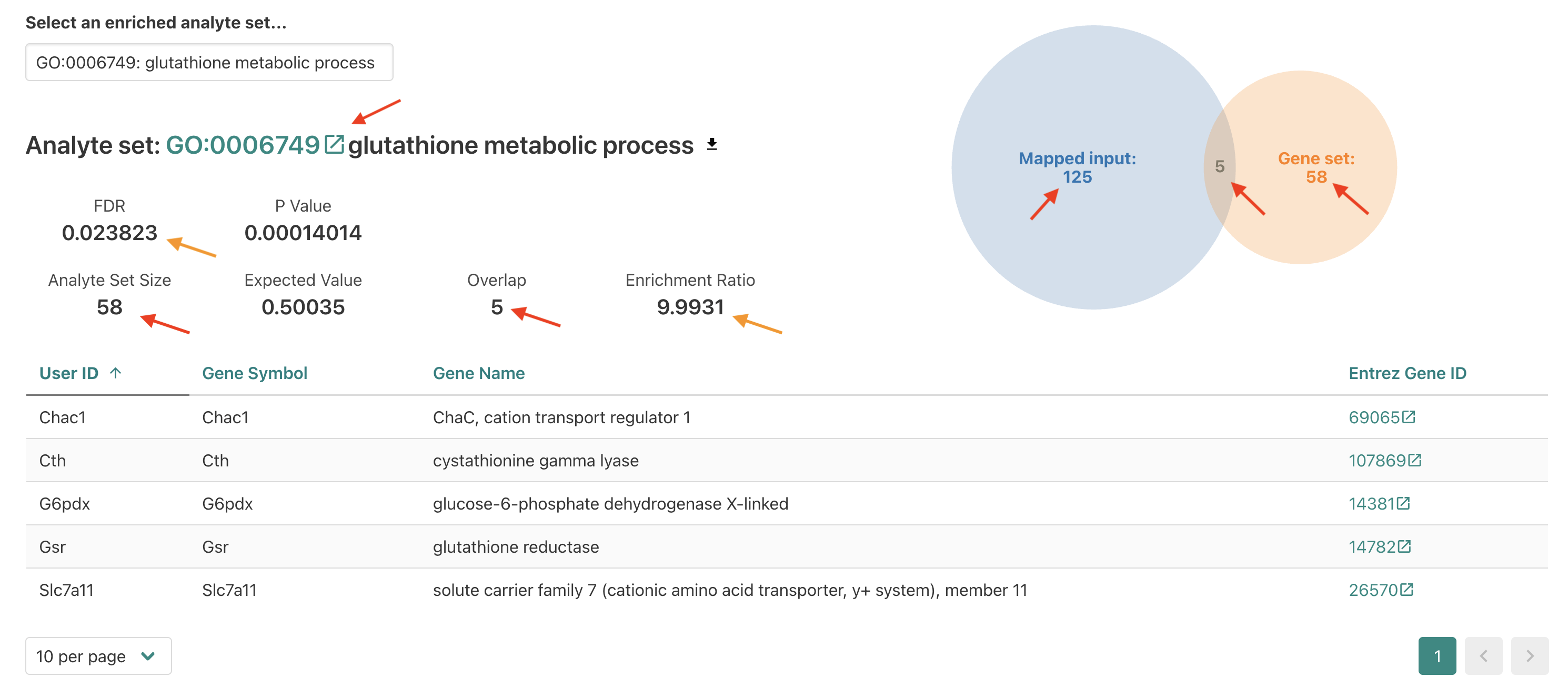 WebGestalt ORA Glutathione metabolic process