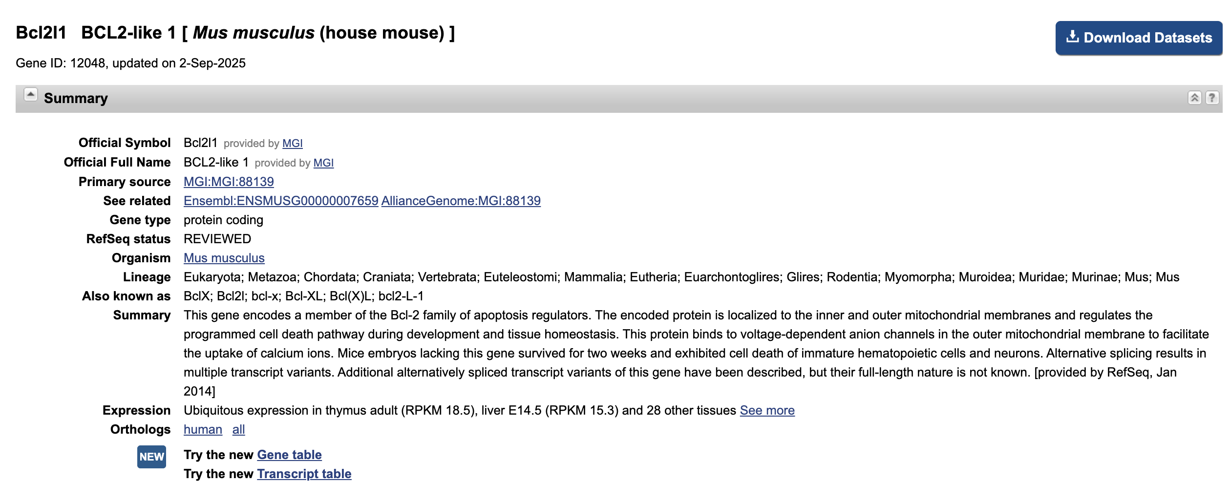 WebGestalt ORA neuron apoptotic process