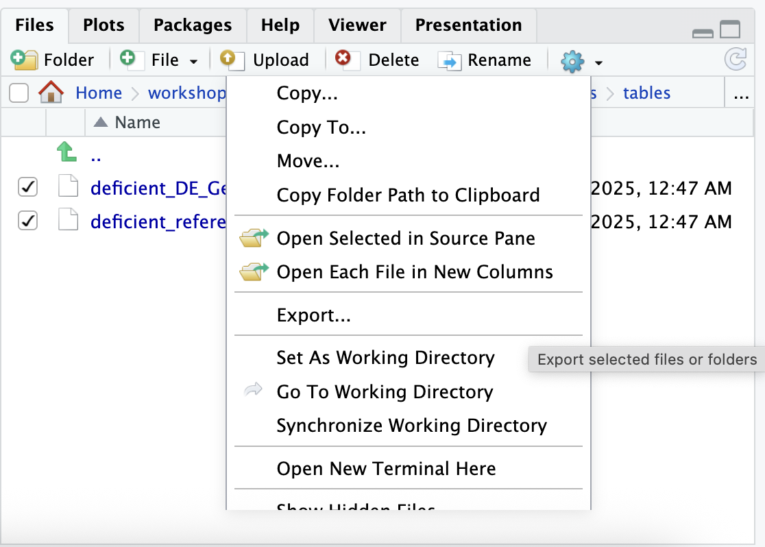 rstudio download file