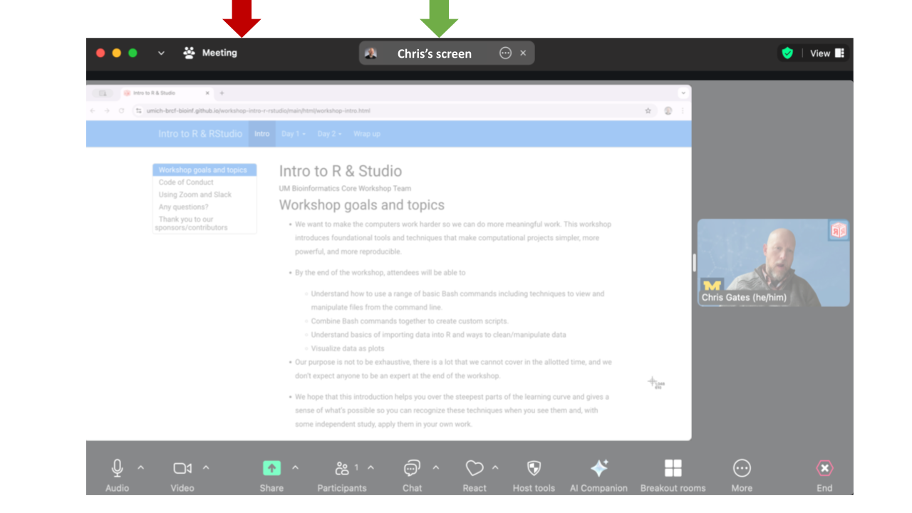 Zoom meeting/screen toggle