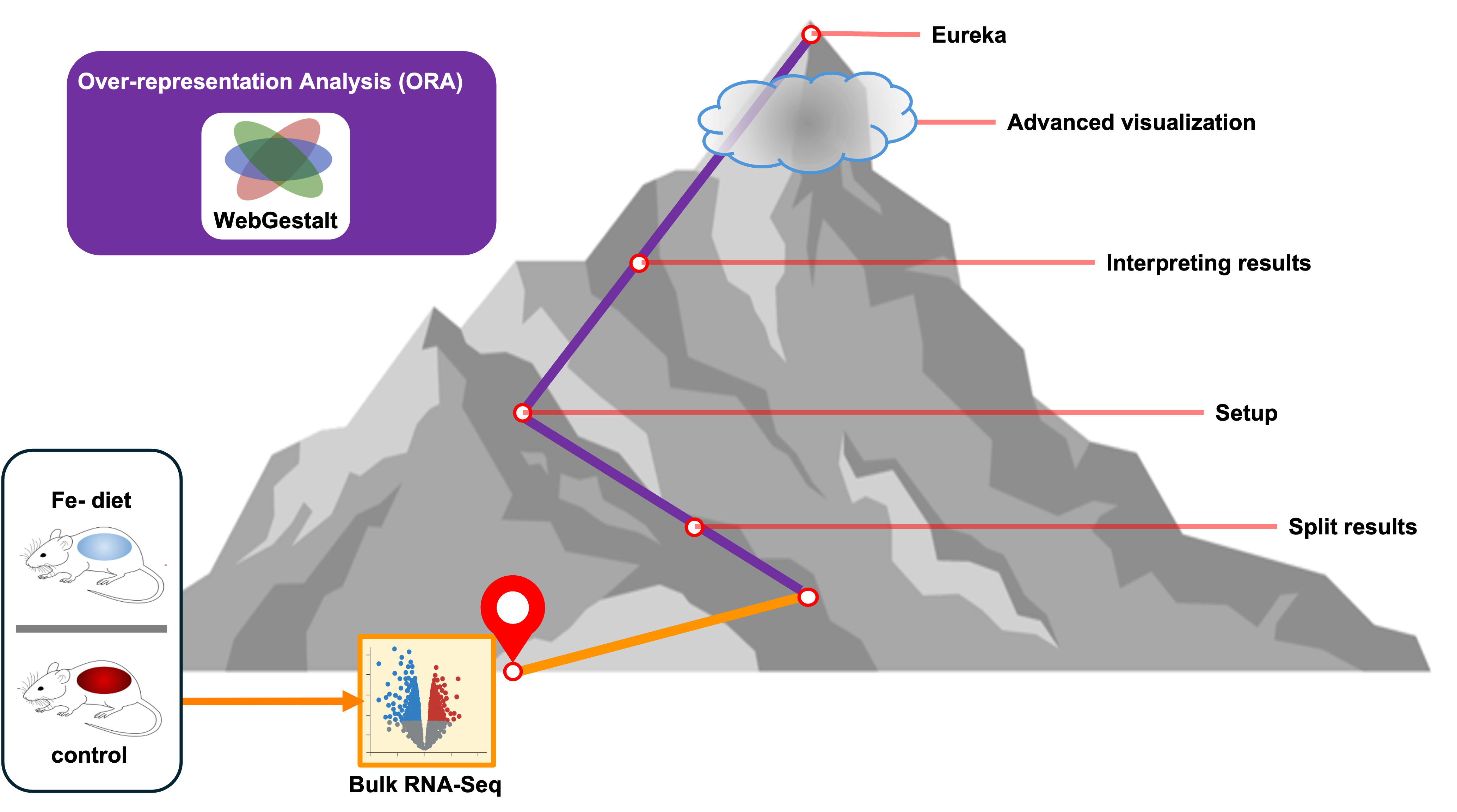 workshop wayfinder