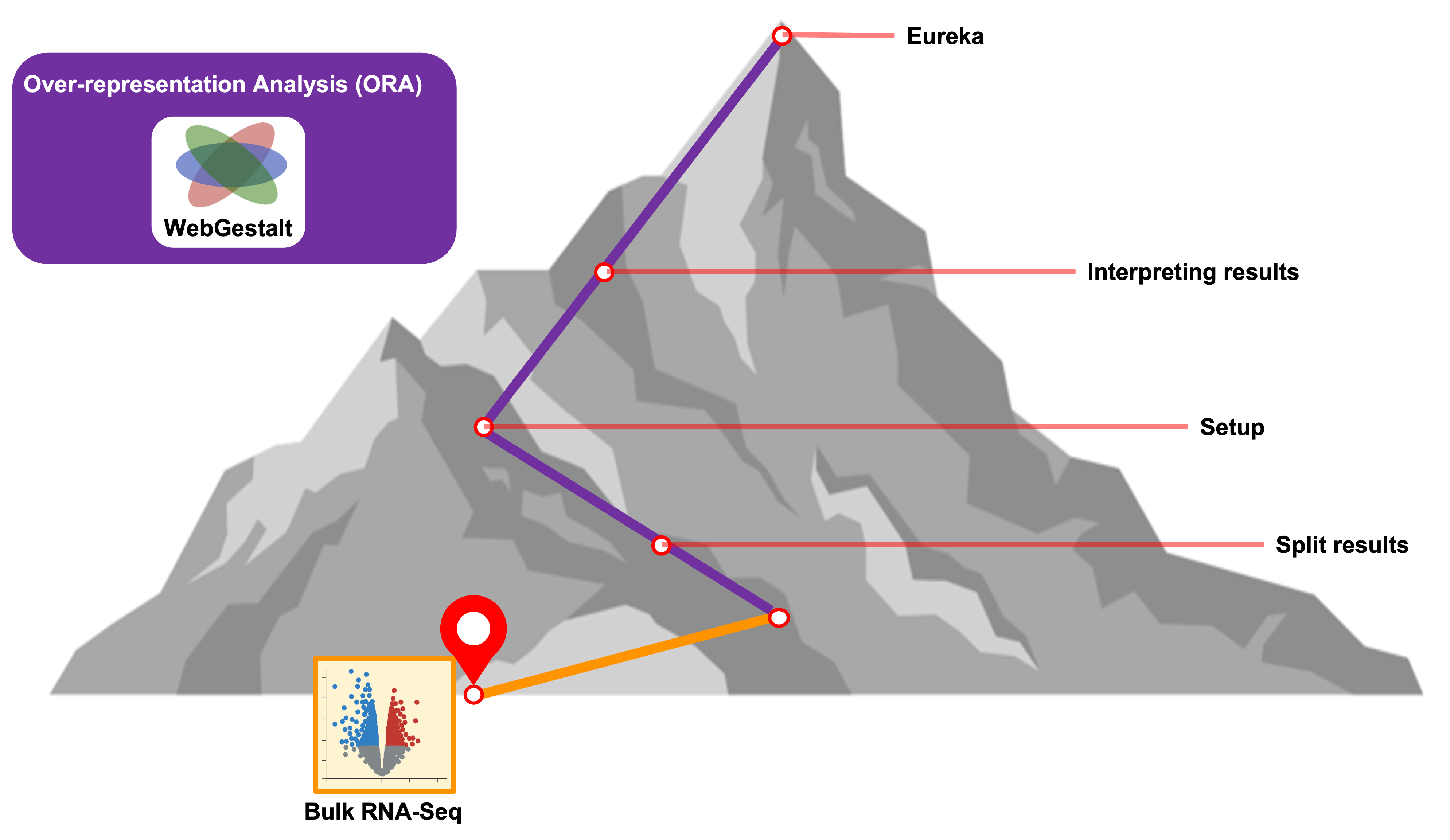 workshop wayfinder