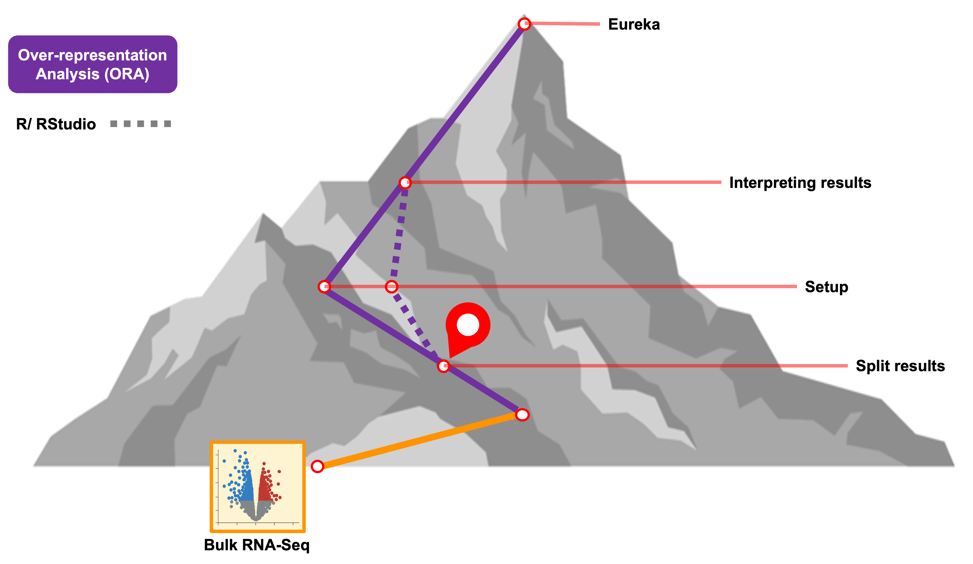 workshop wayfinder