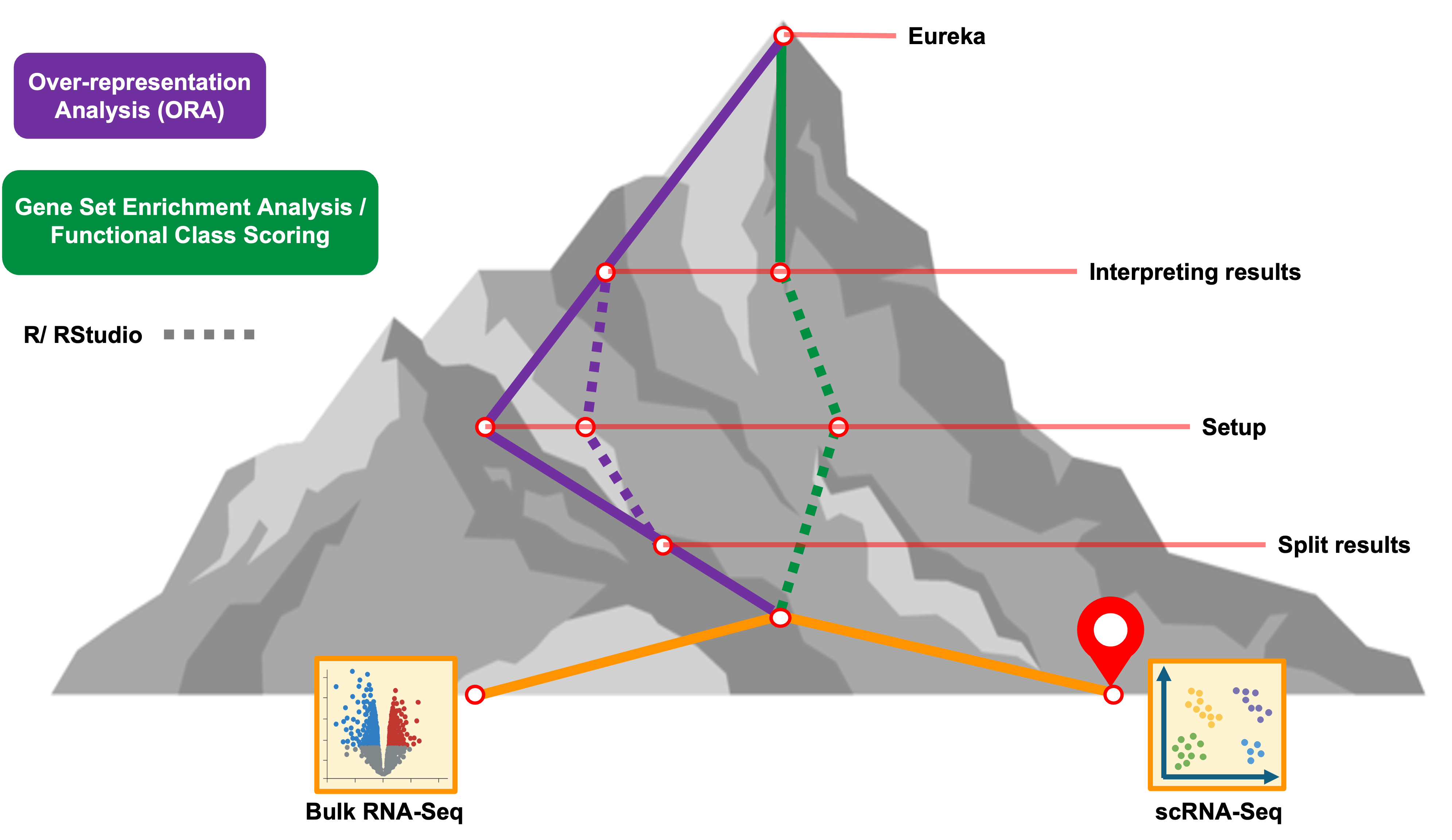 workshop wayfinder