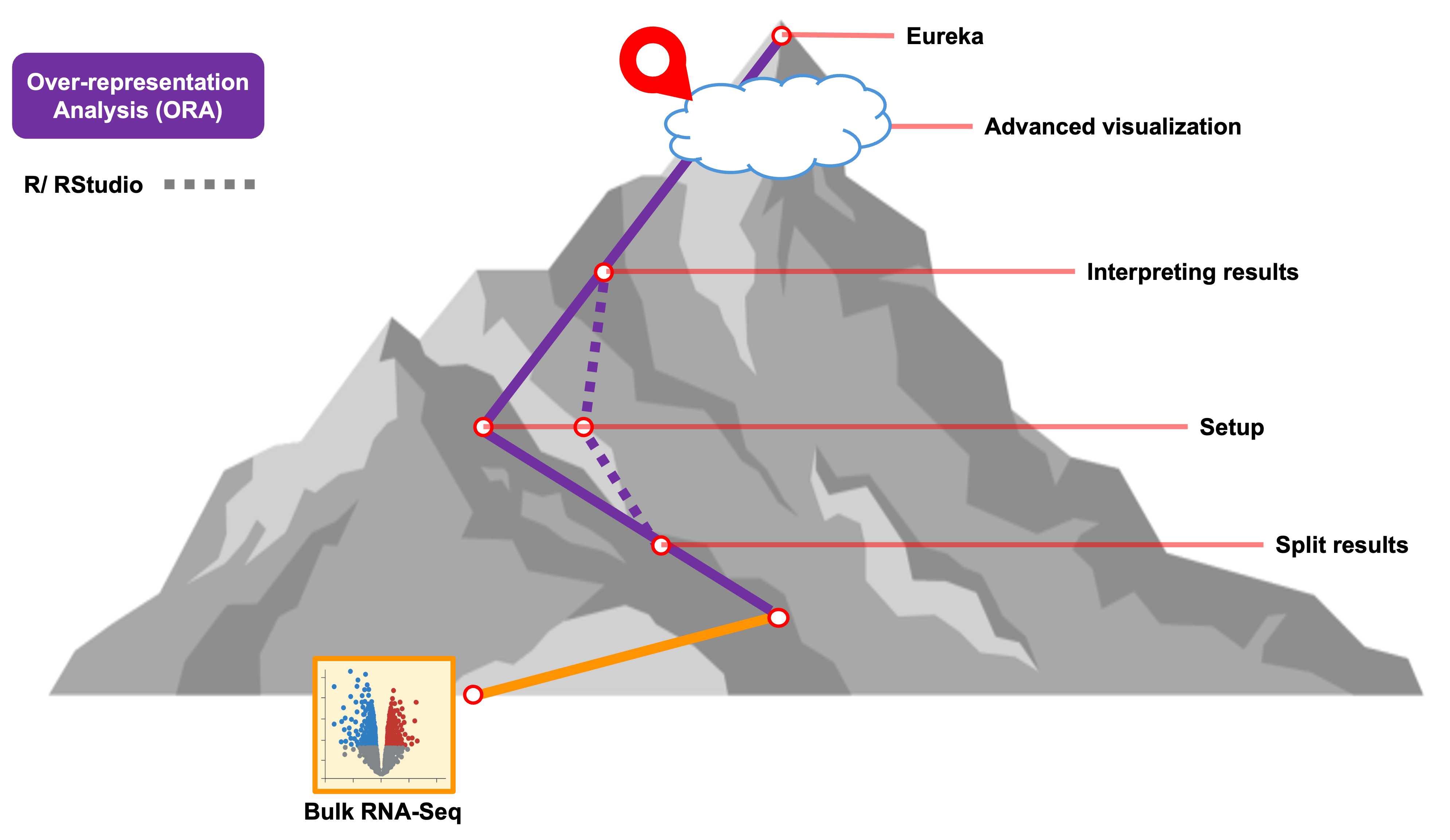 workshop wayfinder