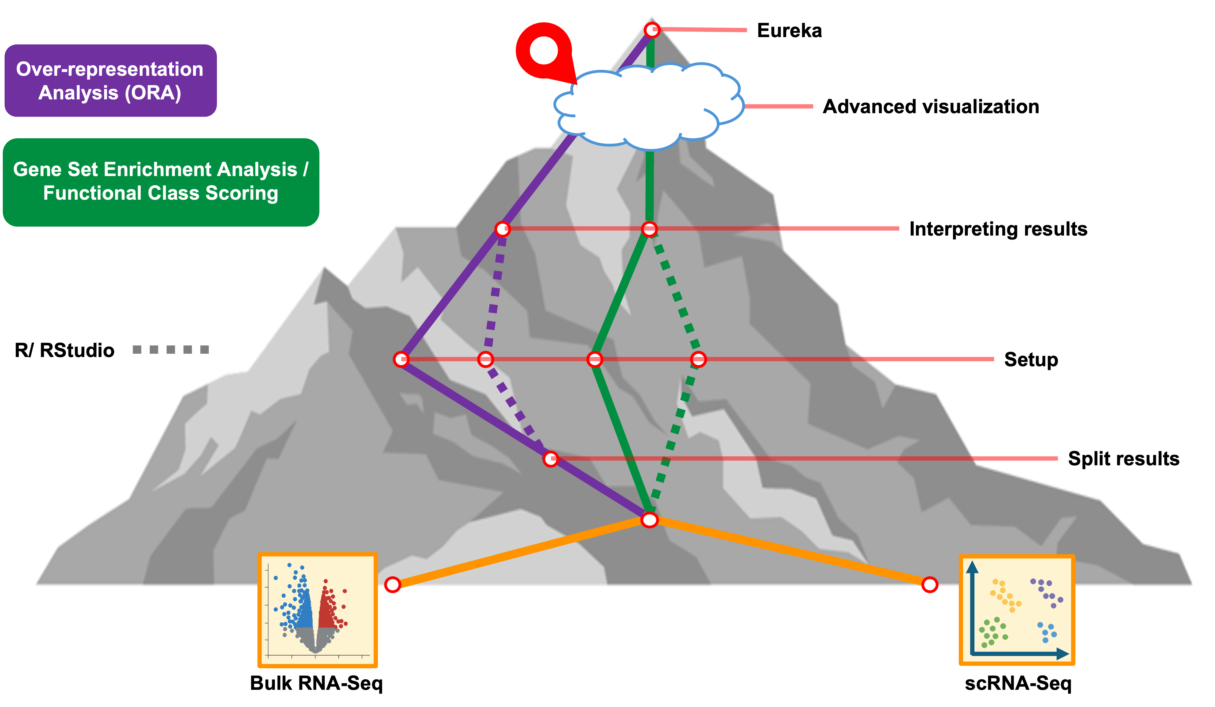workshop wayfinder