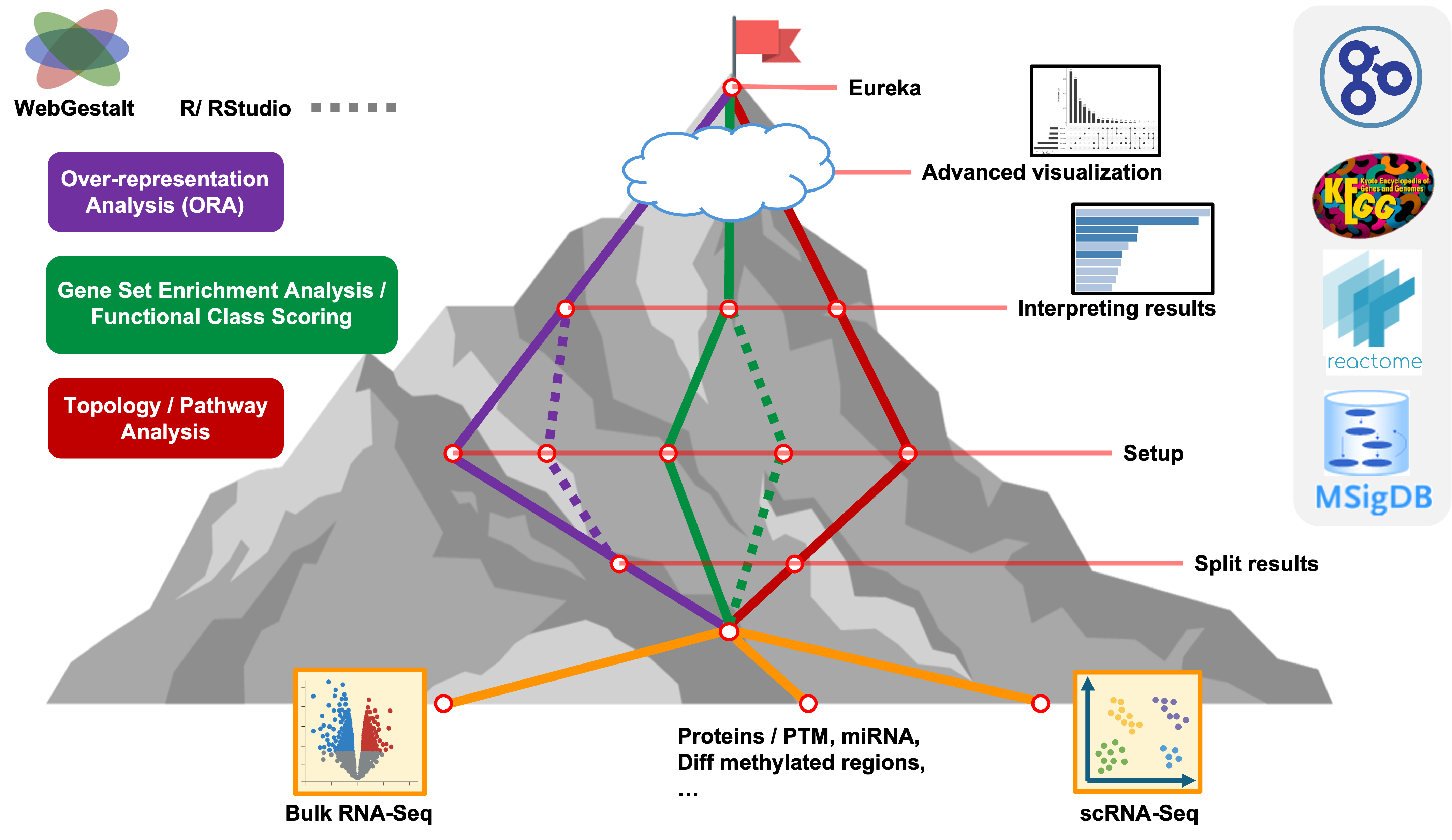 workshop wayfinder