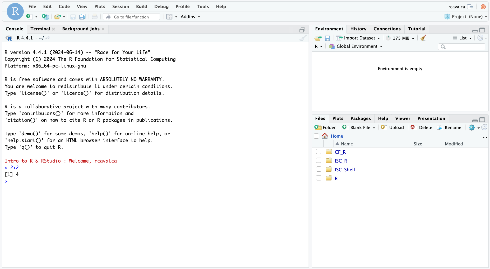 rstudio console execution