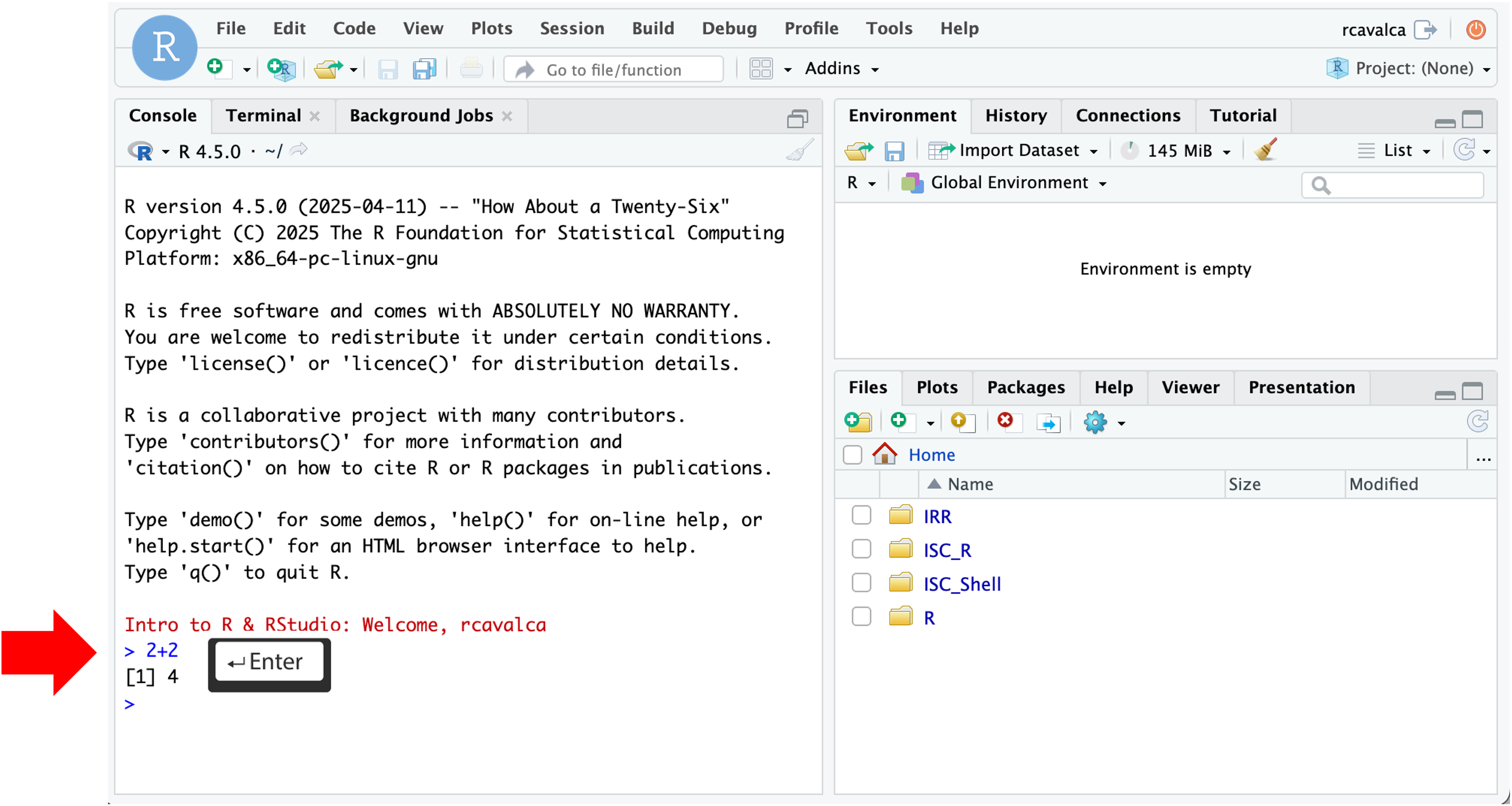 rstudio console execution