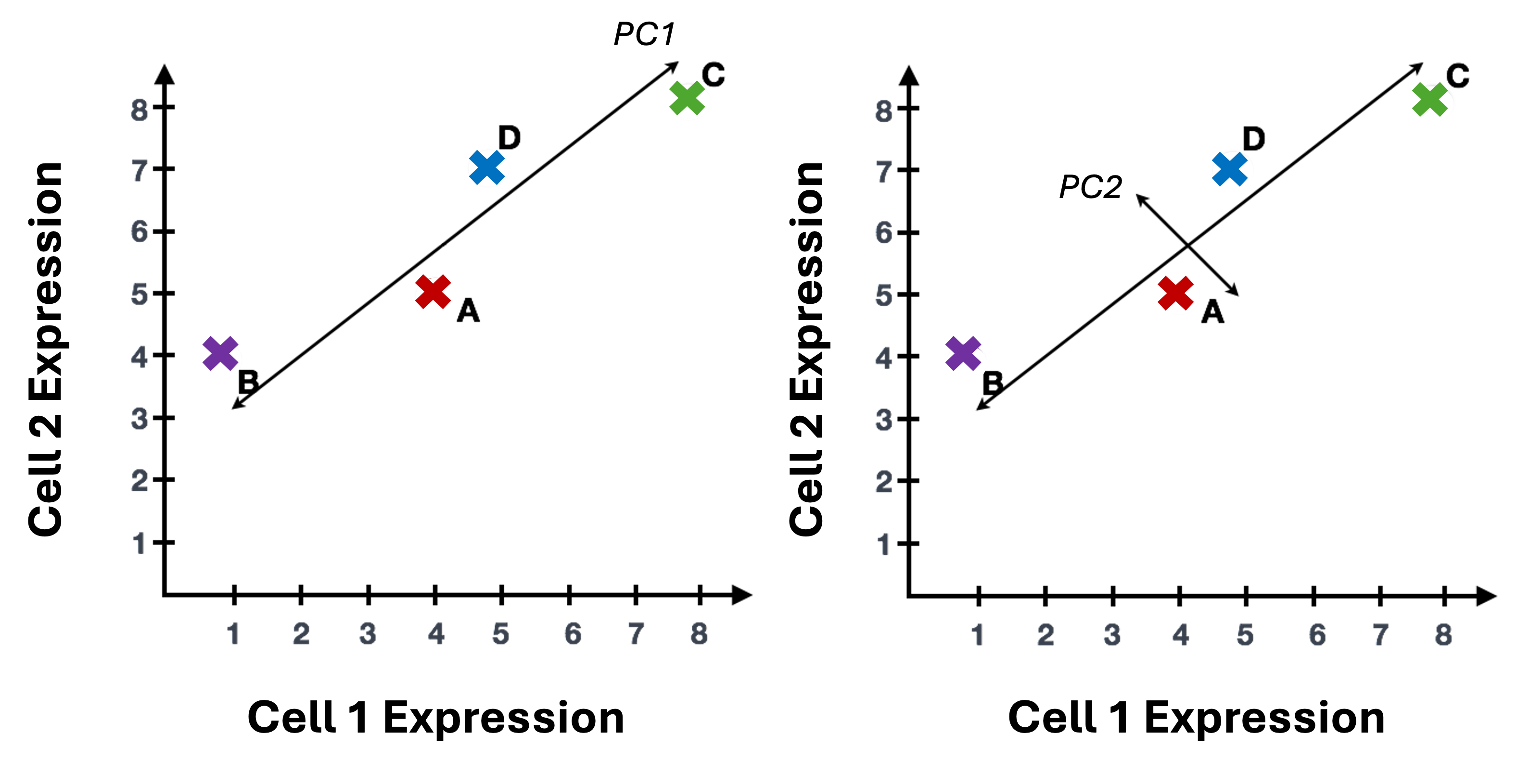 PCA gene loadings (from HBC)