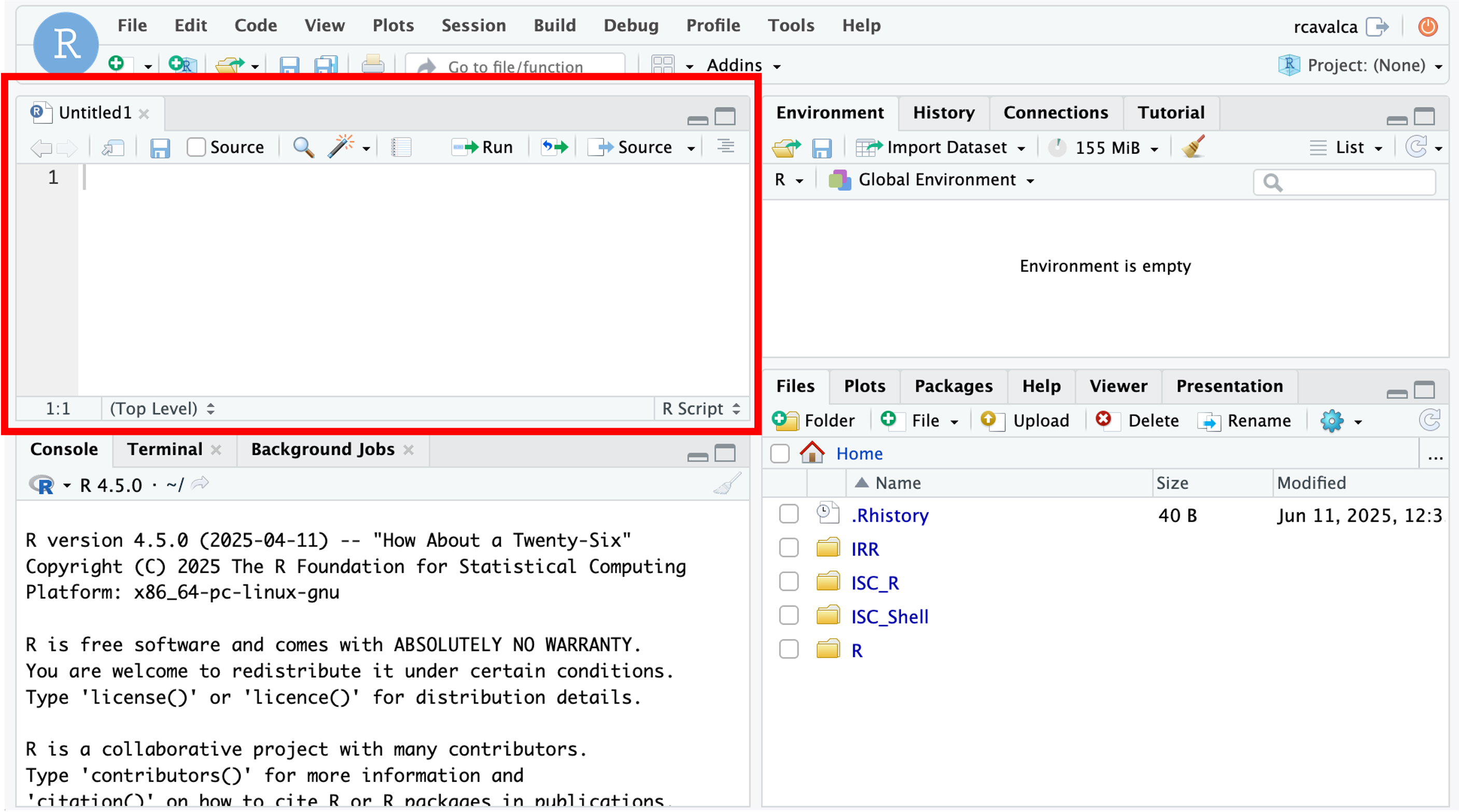 rstudio script pane