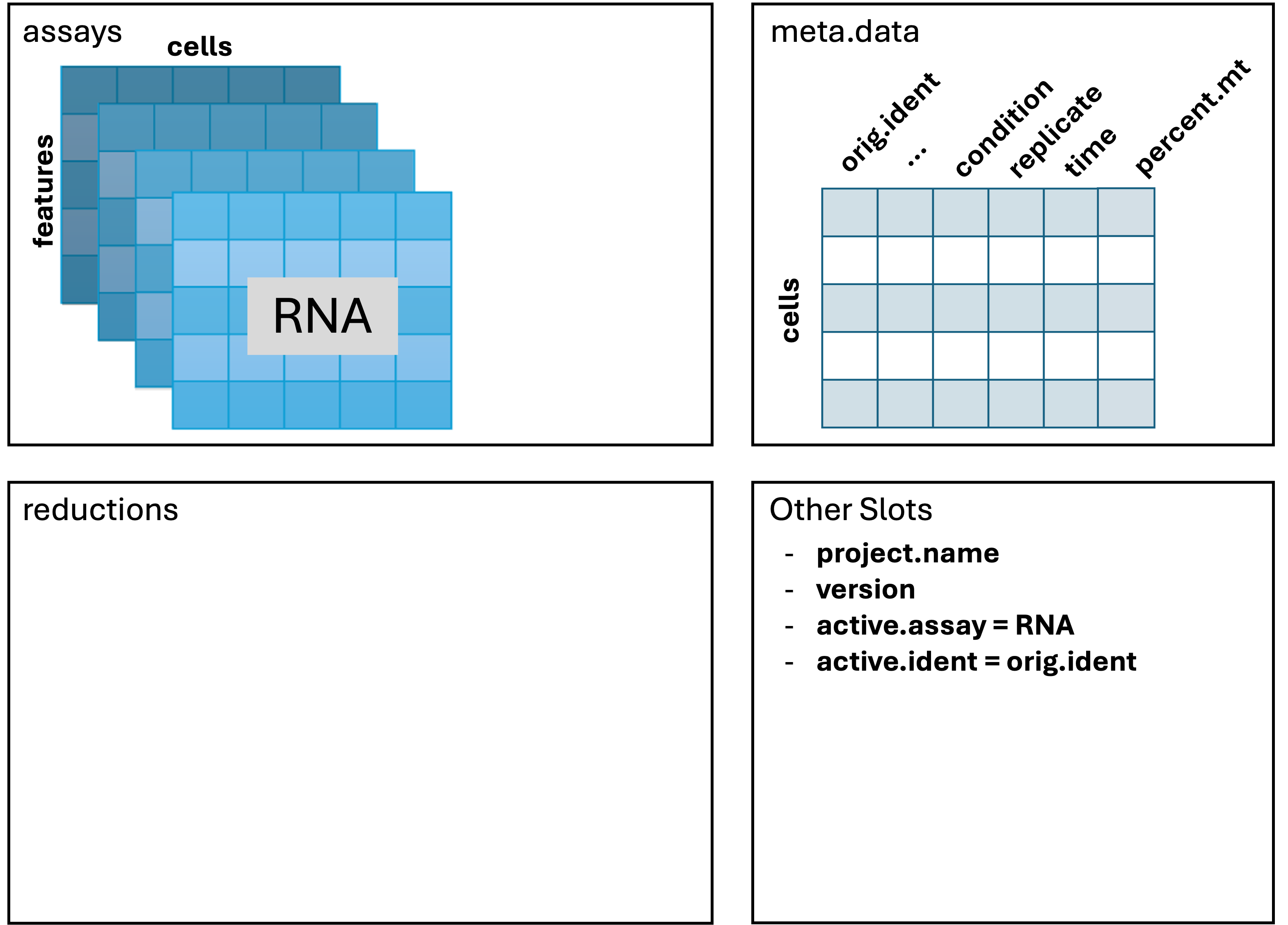 Seurat before normalization.