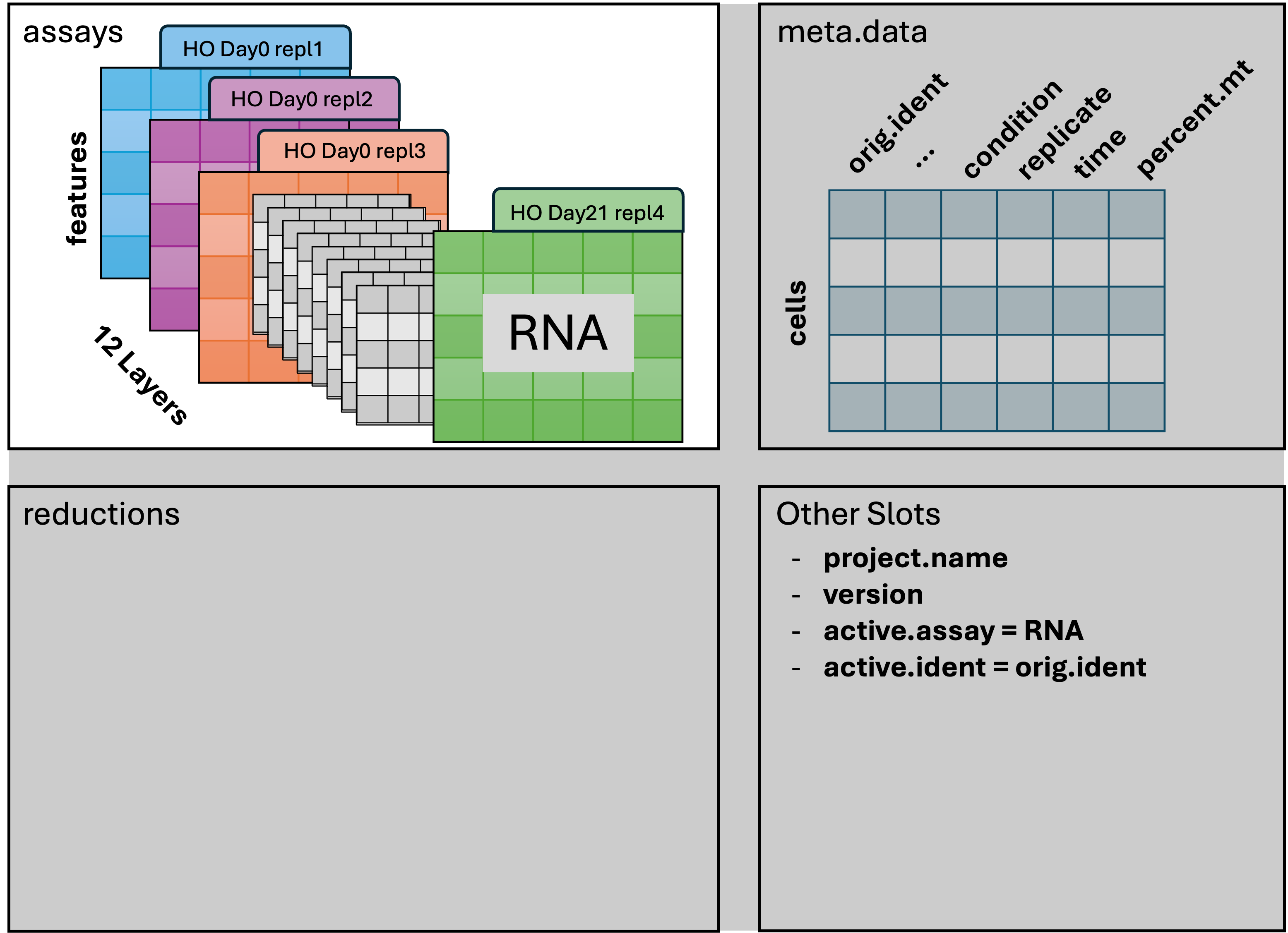 Seurat splitting the counts layer of the RNA assay by sample.