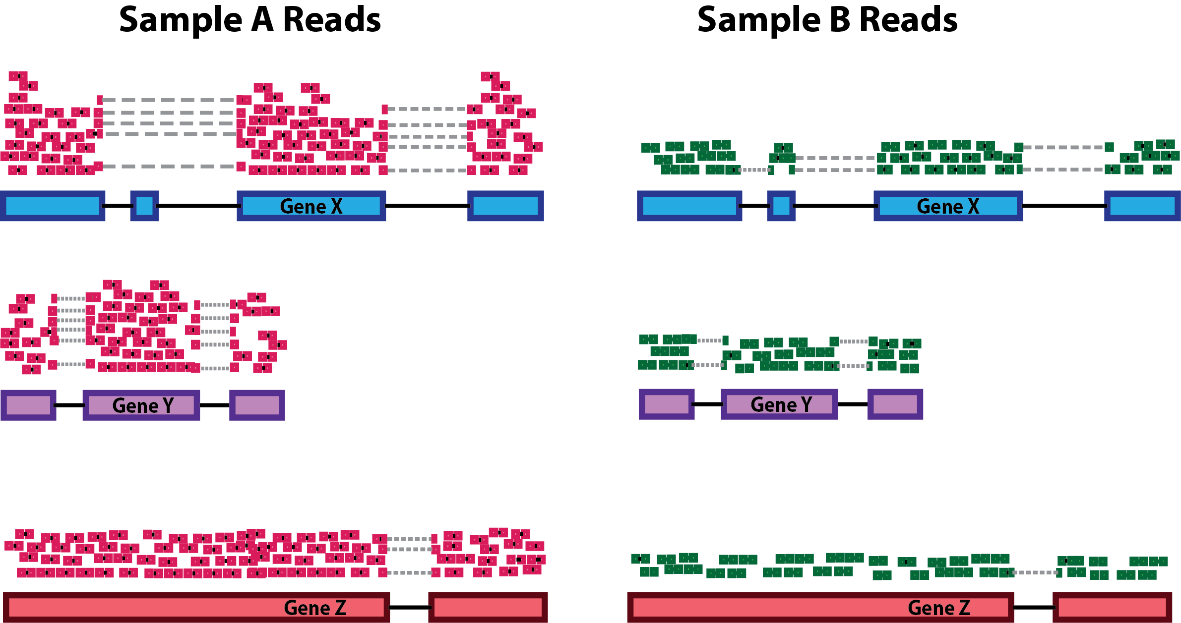 Image: Different sequencing depths can erroneously imply differential expression. Source: HBC training materials.