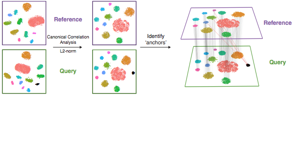 CCA integration illustration, modified from Stuart and Butler, 2018 -https://doi.org/10.1101/460147