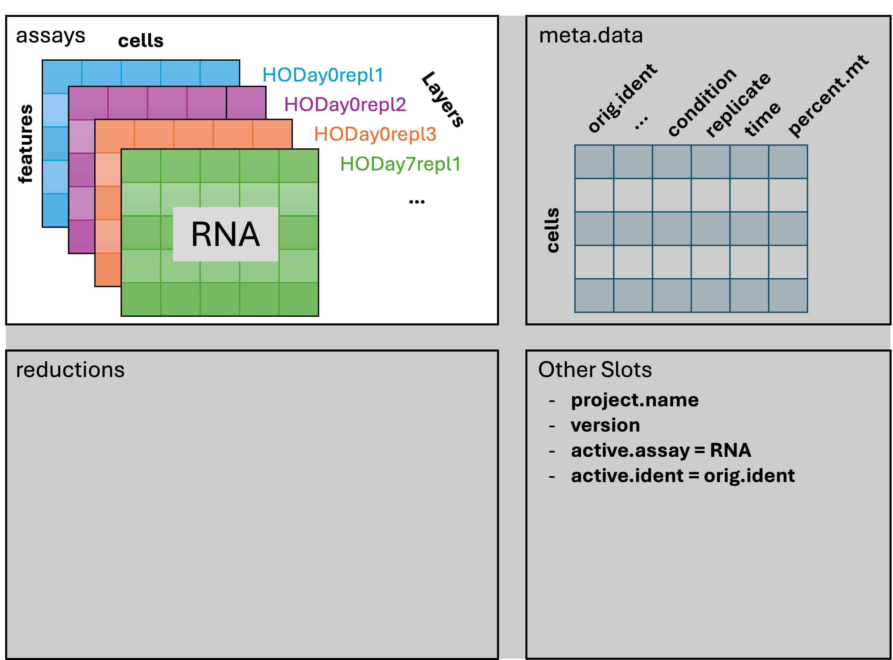 Seurat splitting the counts layer of the RNA assay by sample.