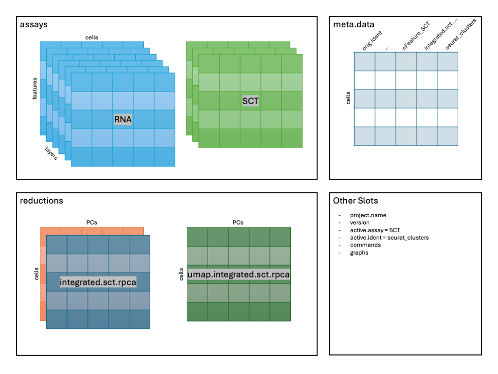 Image: Schematic after RunUMAP().