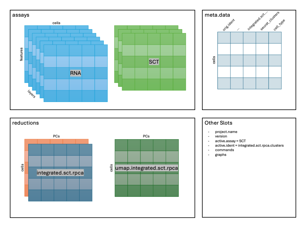 Image: Schematic after adding cell_type column.