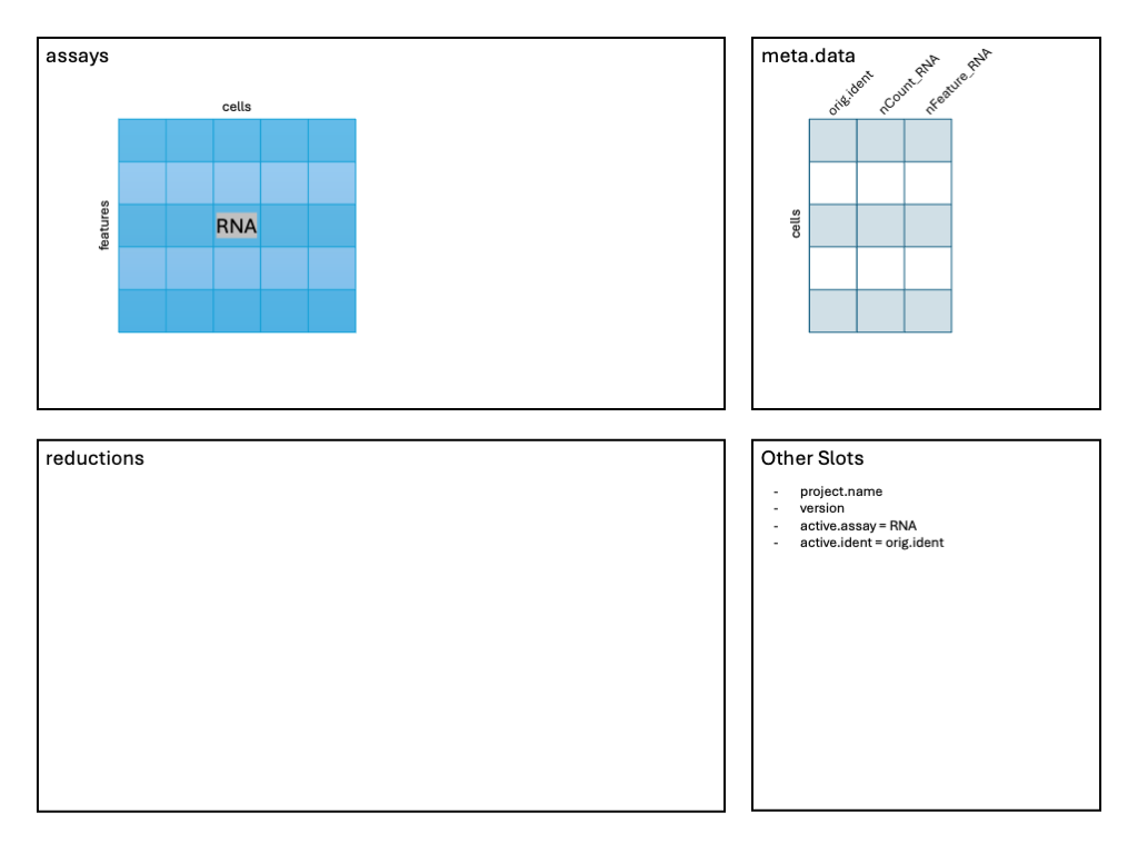 Image: Schematic after creating the Seurat object.