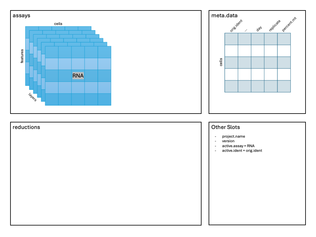 Image: Schematic splitting the counts layer of the RNA assay by sample.