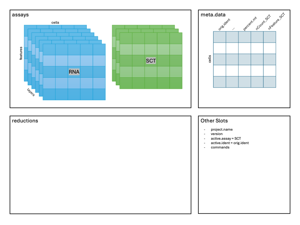 Image: Schematic after SCTransform().