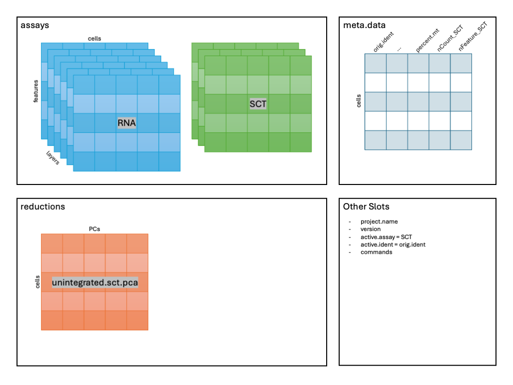 Image: Schematic after RunPCA().