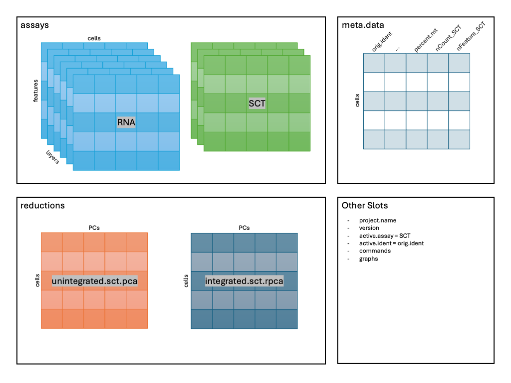 Image: Schematic after FindNeighbors().