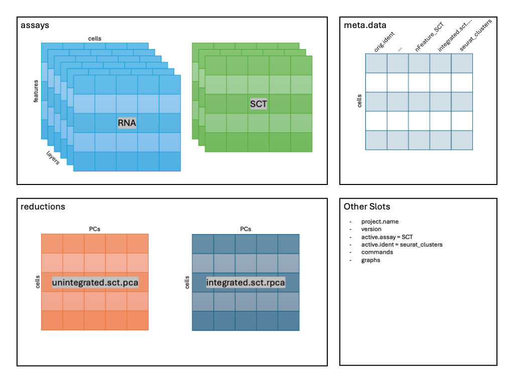 Image: Schematic after FindClusters().