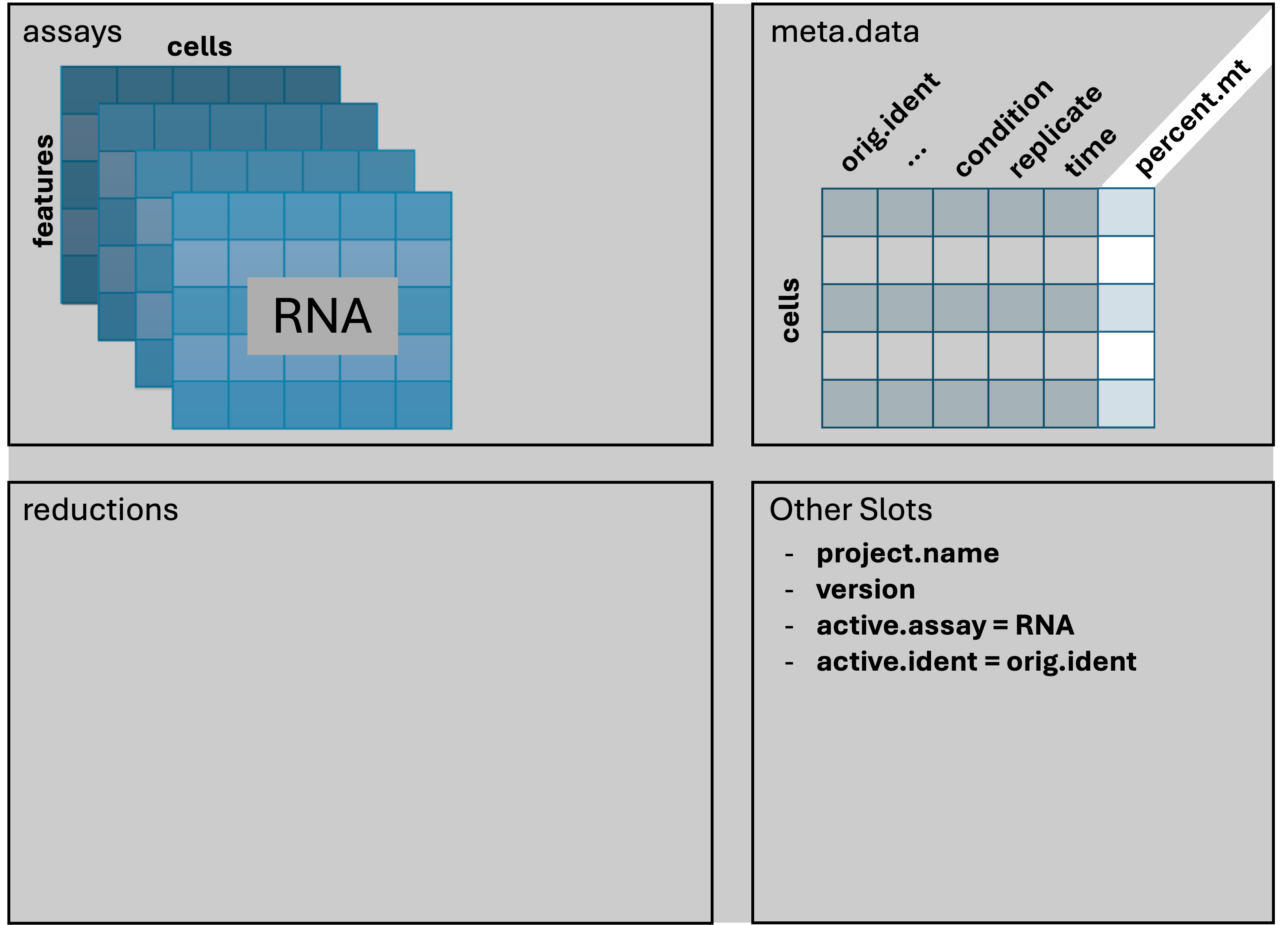 Seurat after adding percent mt