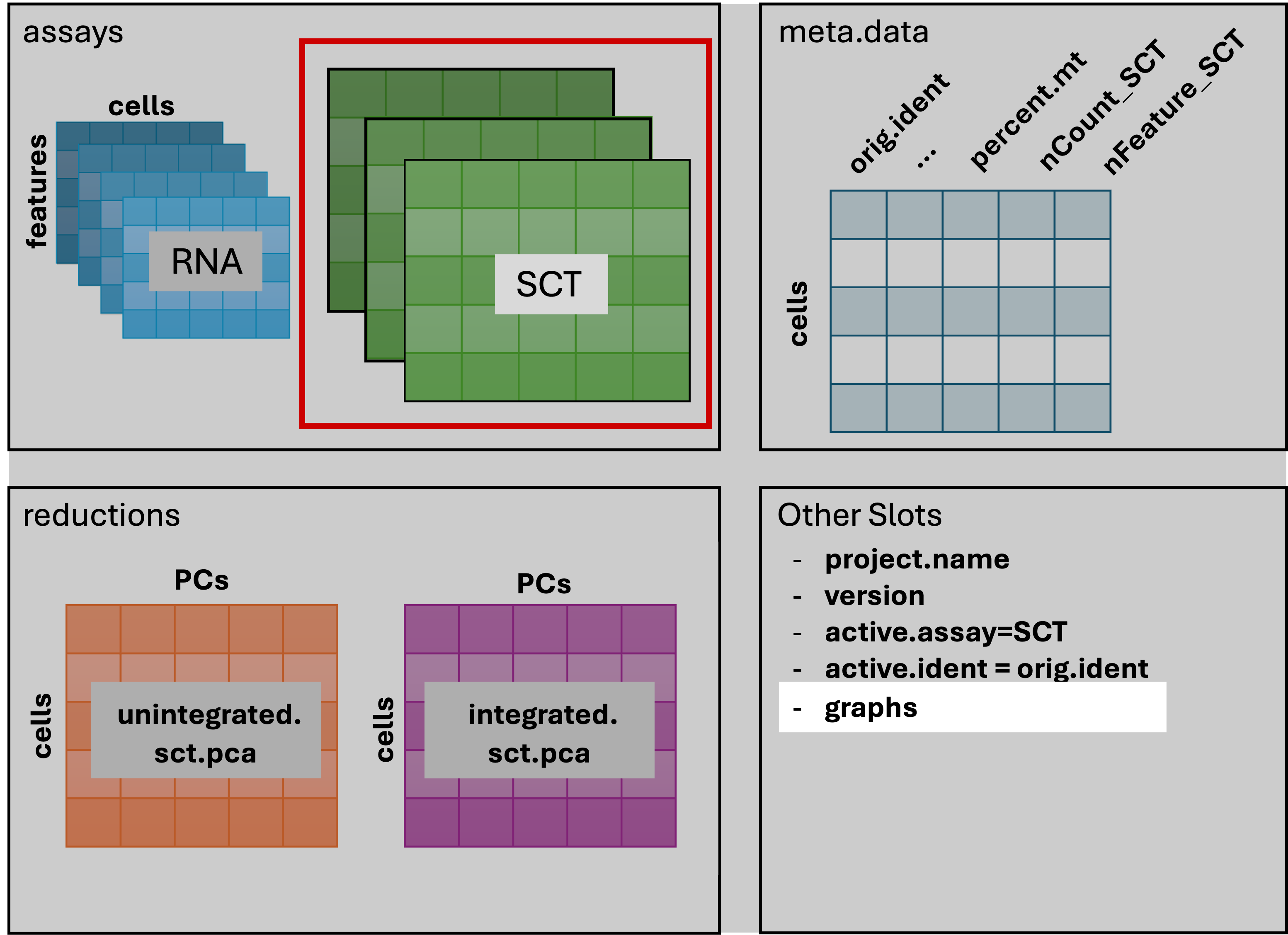 Seurat after FindNeighbors