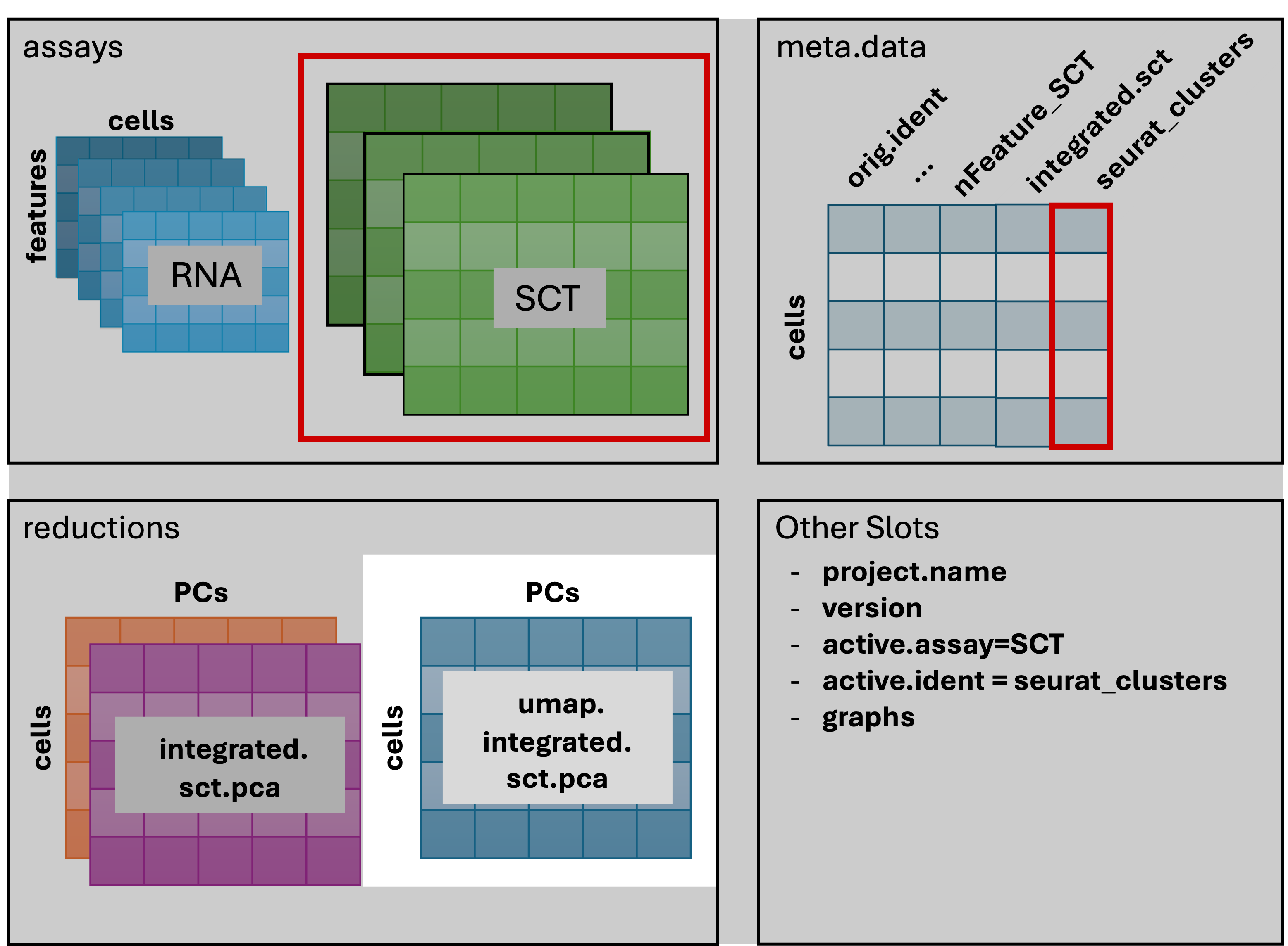 Seurat after RunUMAP