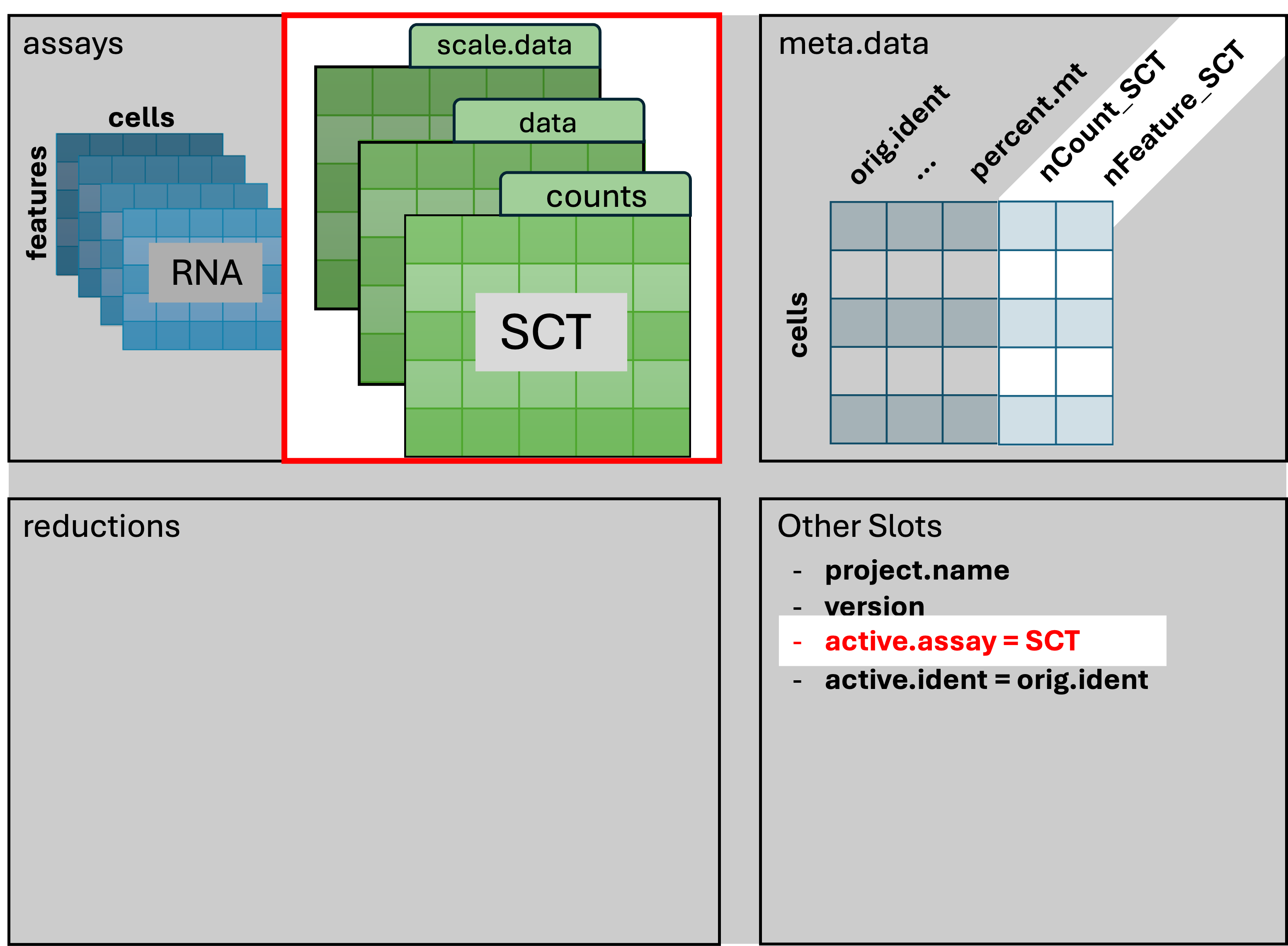 Seurat after SCTransform