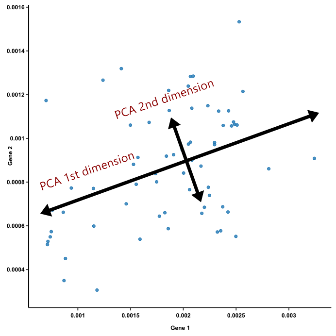 Figure from BioTuring - principle component analysis explained simply