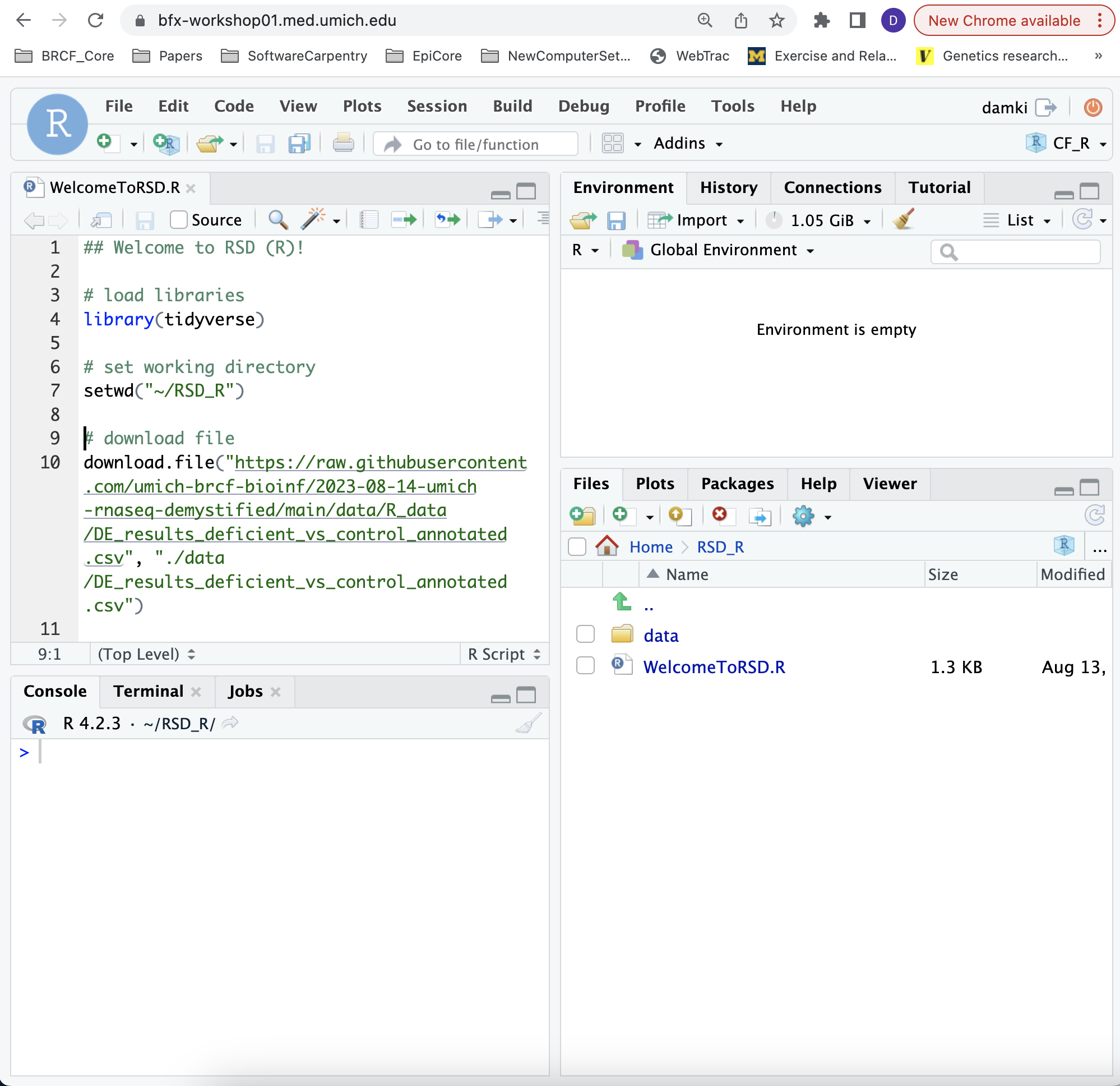 rstudio default session