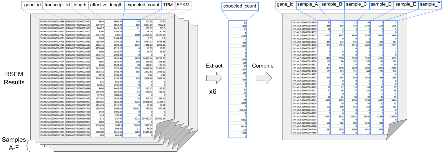 Creating the count matrix